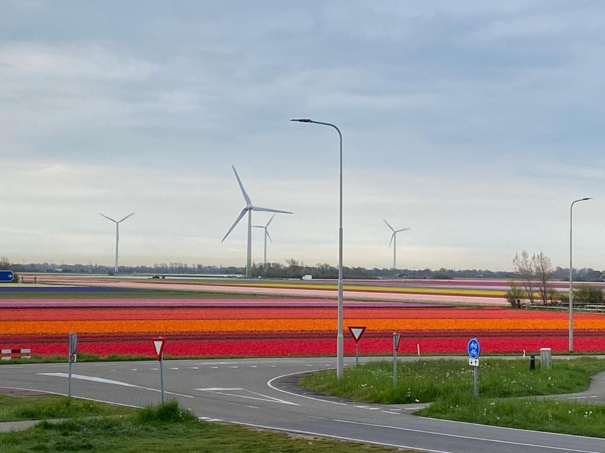 Zijperweg Vakantiehuis Vlakbij Zee, Strand En Bos เพทเทิน ภายนอก รูปภาพ