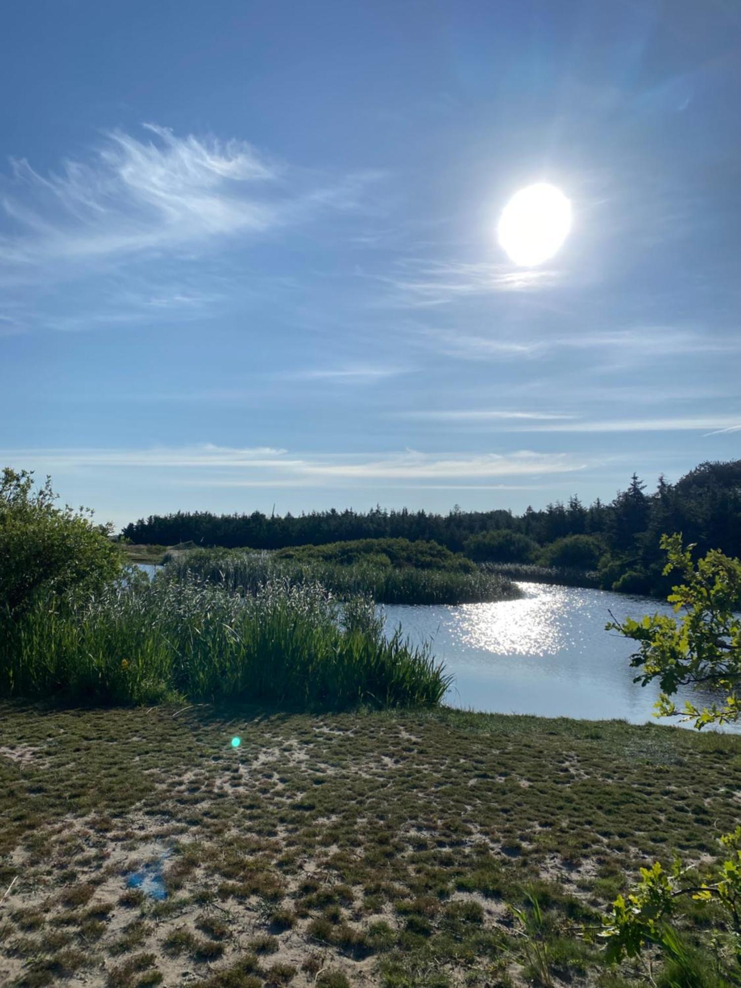 Zijperweg Vakantiehuis Vlakbij Zee, Strand En Bos เพทเทิน ภายนอก รูปภาพ